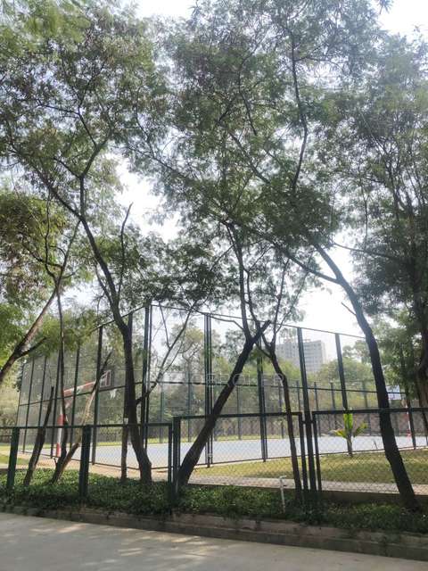 3 BHK Flat In Nyati Grandeur Chs for Rent  In Undri