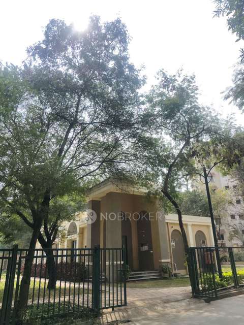 3 BHK Flat In Nyati Grandeur Chs for Rent  In Undri