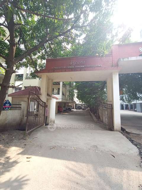 3 BHK Flat In Ascent Society  for Rent  In Baner