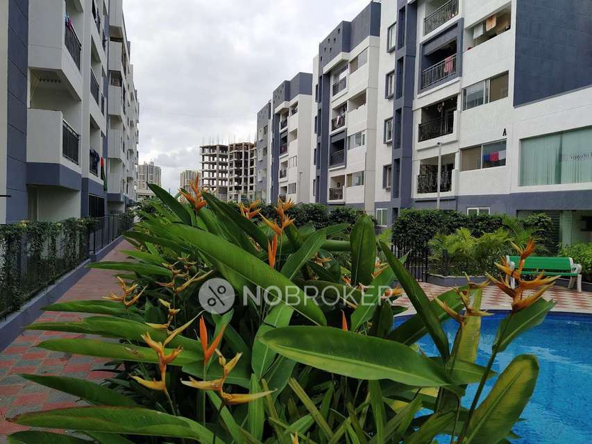 3 BHK Flat In Vijayasri Eldorado,  Bidare Agraha for Rent  In  Bidare Agraha