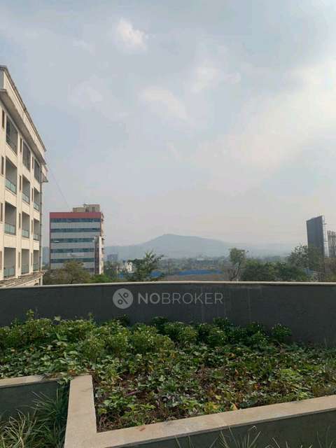 3 BHK Flat In Godrej Elements for Rent  In Hinjawadi Phase I