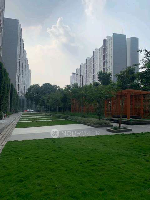 3 BHK Flat In Godrej Elements for Rent  In Hinjawadi Phase I