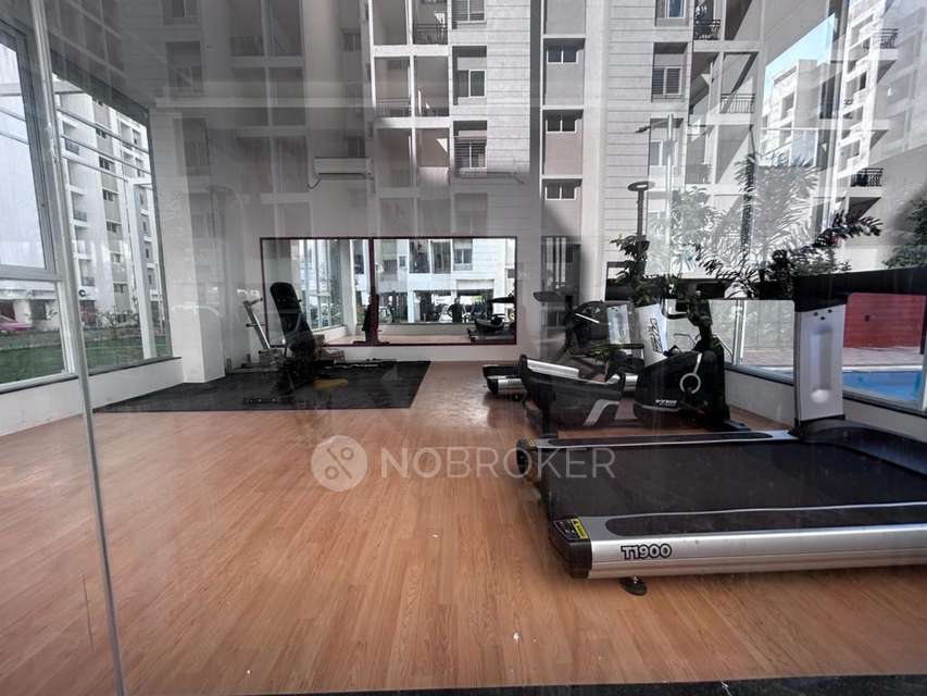 2 BHK Flat In Vtp Purvanchal For Sale  In Wagholi