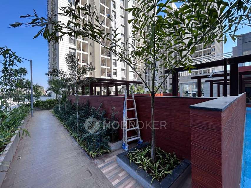 2 BHK Flat In Vtp Purvanchal For Sale  In Wagholi