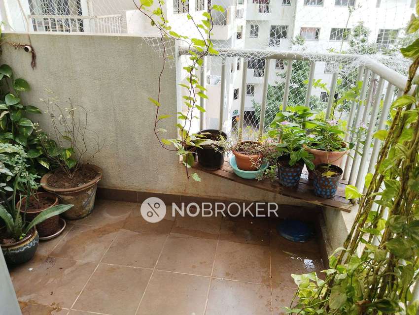 3 BHK Flat In Tata Inora Park For Sale  In Undri, Pune