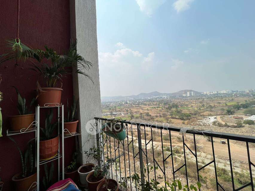 2 BHK Flat In Godrej 24 for Rent  In Hinjewadi