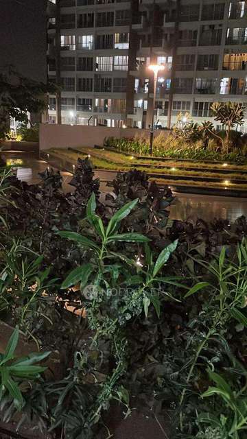 2 BHK Flat In Kohinoor Coral Phase 3 for Rent  In Hinjewadi