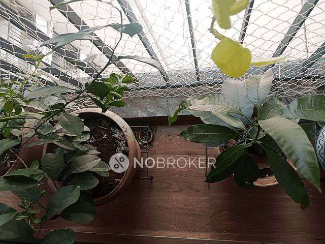 1 BHK Flat In Aster Runwal Mycity For Sale  In Runwal Mycity, 1 Part 2, Aster, Runwal Mycity Betwade, Betwade Gaon, Dombivli, Maharashtra 400612, India