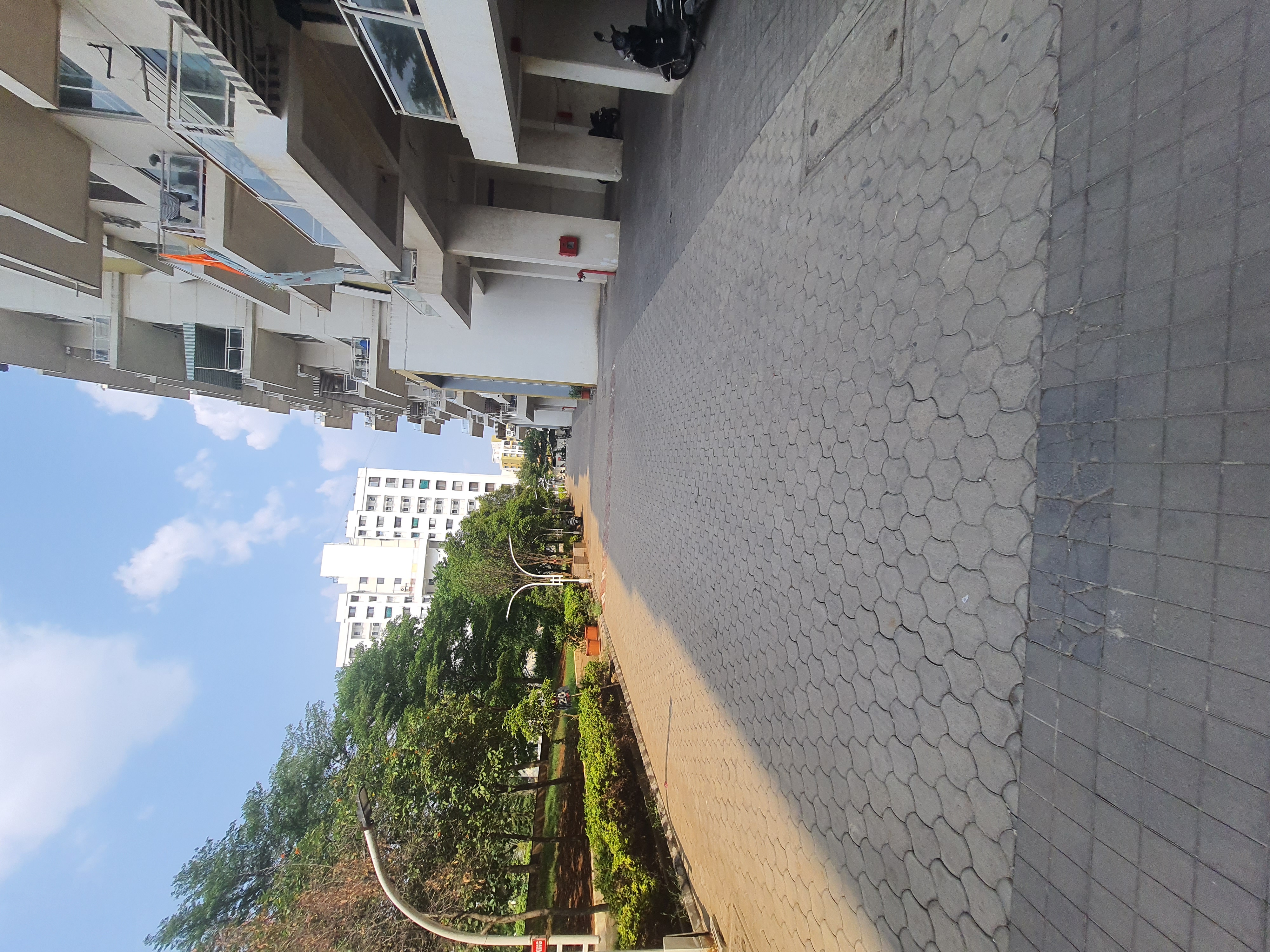 Karia Konark Meadows