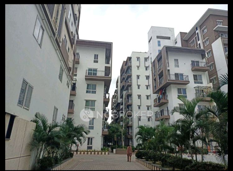 Estella Maple Square