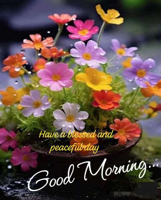 1 BHK Flat In Brigade Bricklane, Jakkur For Sale  In Jakkur