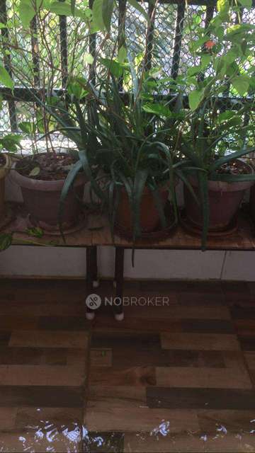 3 BHK Flat In Sai Raghavendra Homes For Sale  In Miyapur