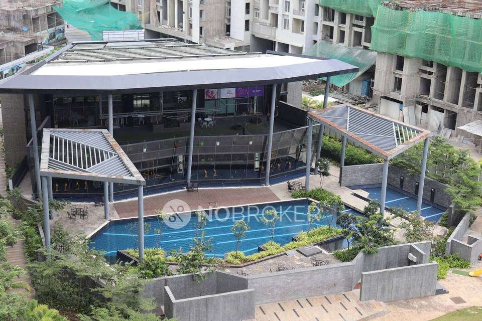 1 BHK Flat In Goel Ganga Legend for Rent  In Bavdhan