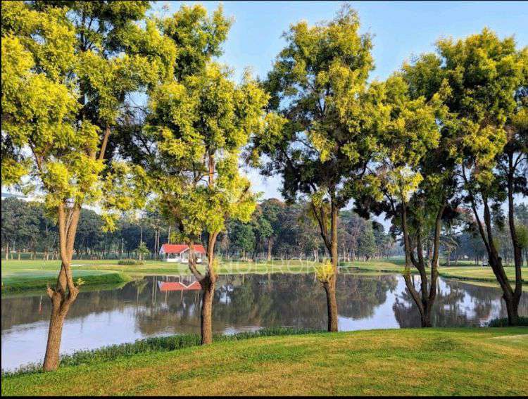 3 BHK Flat In Diamond District For Sale  In Domlur