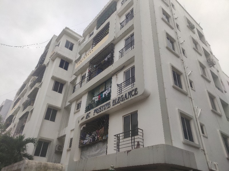 Chandras Ace Pristine Elegance