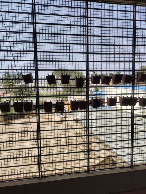 3 BHK Flat In Habitat Cedar Apartment For Sale  In Virupakshapura