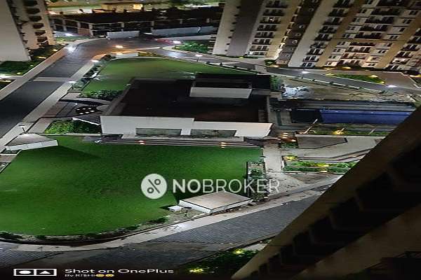 2 BHK Flat In Pigeon Spring Meadows for Rent  In Patwari