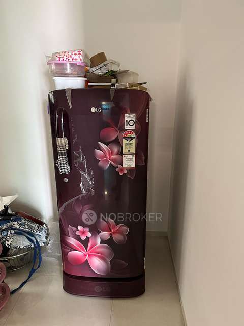 1 BHK Flat In Palladium Plus for Rent  In Dhanori