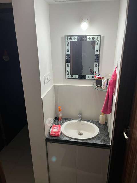 1 BHK Flat In Palladium Plus for Rent  In Dhanori