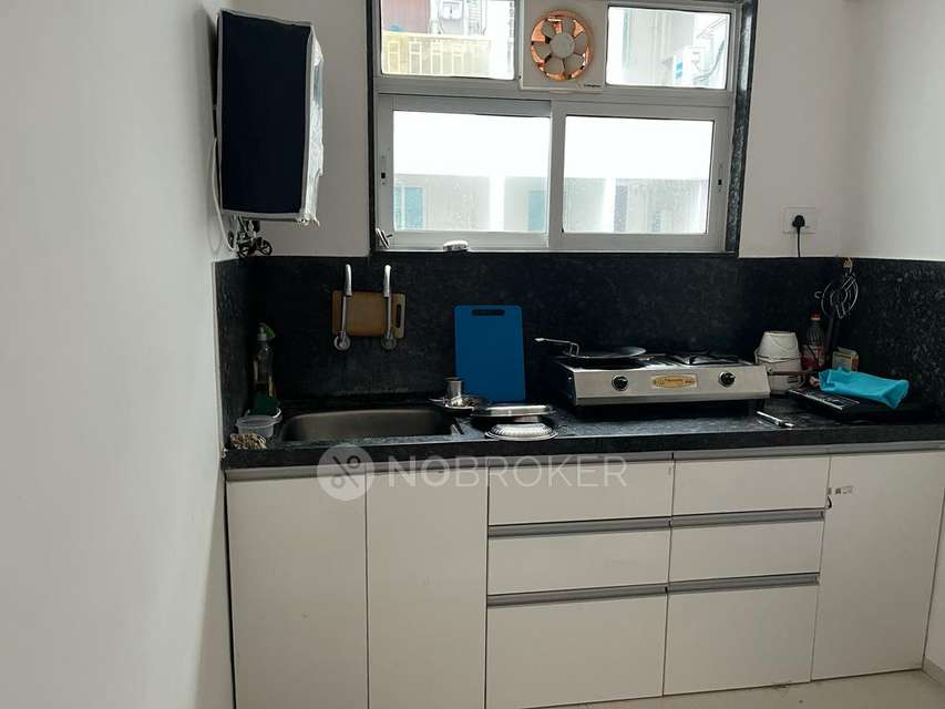 1 BHK Flat In Palladium Plus for Rent  In Dhanori