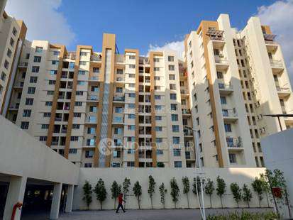 1 BHK Flat In Palladium Plus for Rent  In Dhanori