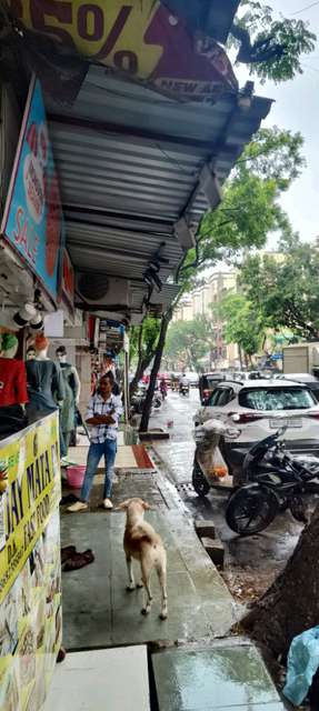 1 BHK Flat In Anand Nagar  For Sale  In Bhayandar West