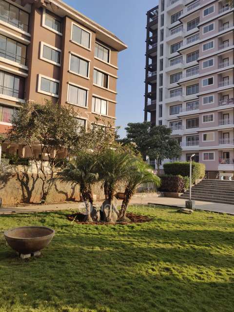2 BHK Flat In Mas Spacia In Mahavirs Natura for Rent  In Pune