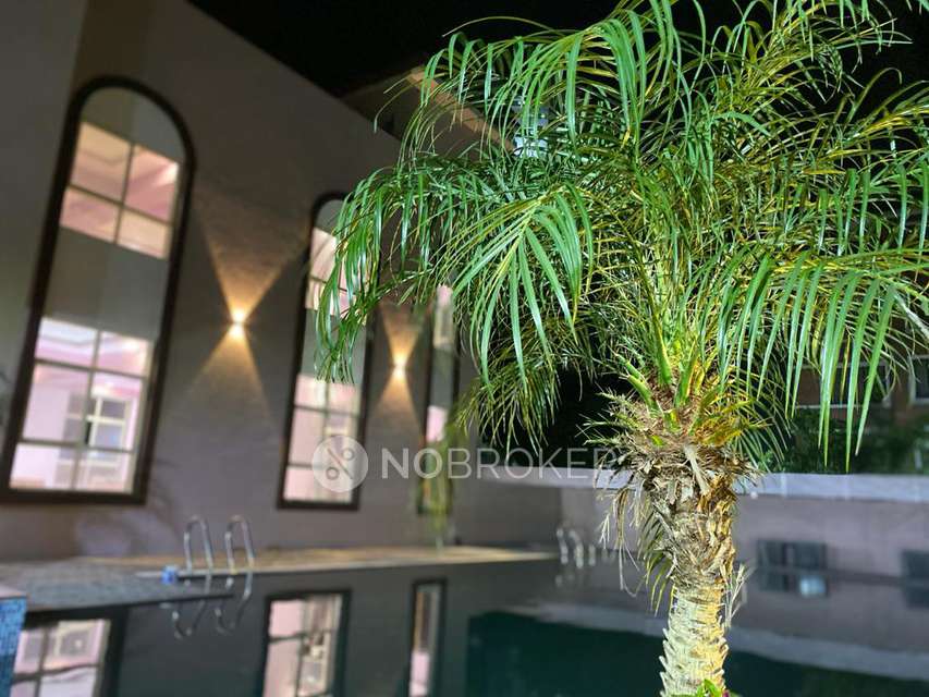 2 BHK Flat In Mas Spacia In Mahavirs Natura for Rent  In Pune