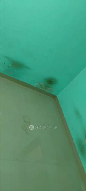 1 BHK Flat In Aarambh Apartment for Rent  In Wakad