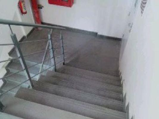 1 BHK Flat In Gera Shrishti Tower for Rent In Shrishti Gera