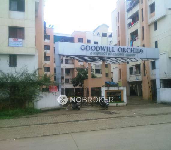 2 BHK Flat In Goodwill Orchids for Rent  In Dhanori
