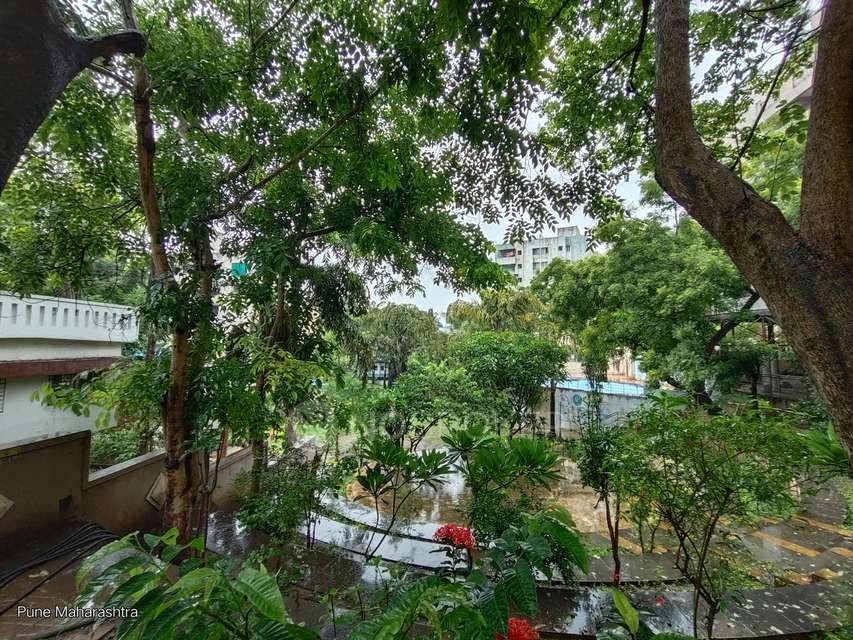 1 BHK Flat In Raviraj Colorado For Sale  In Kondhwa