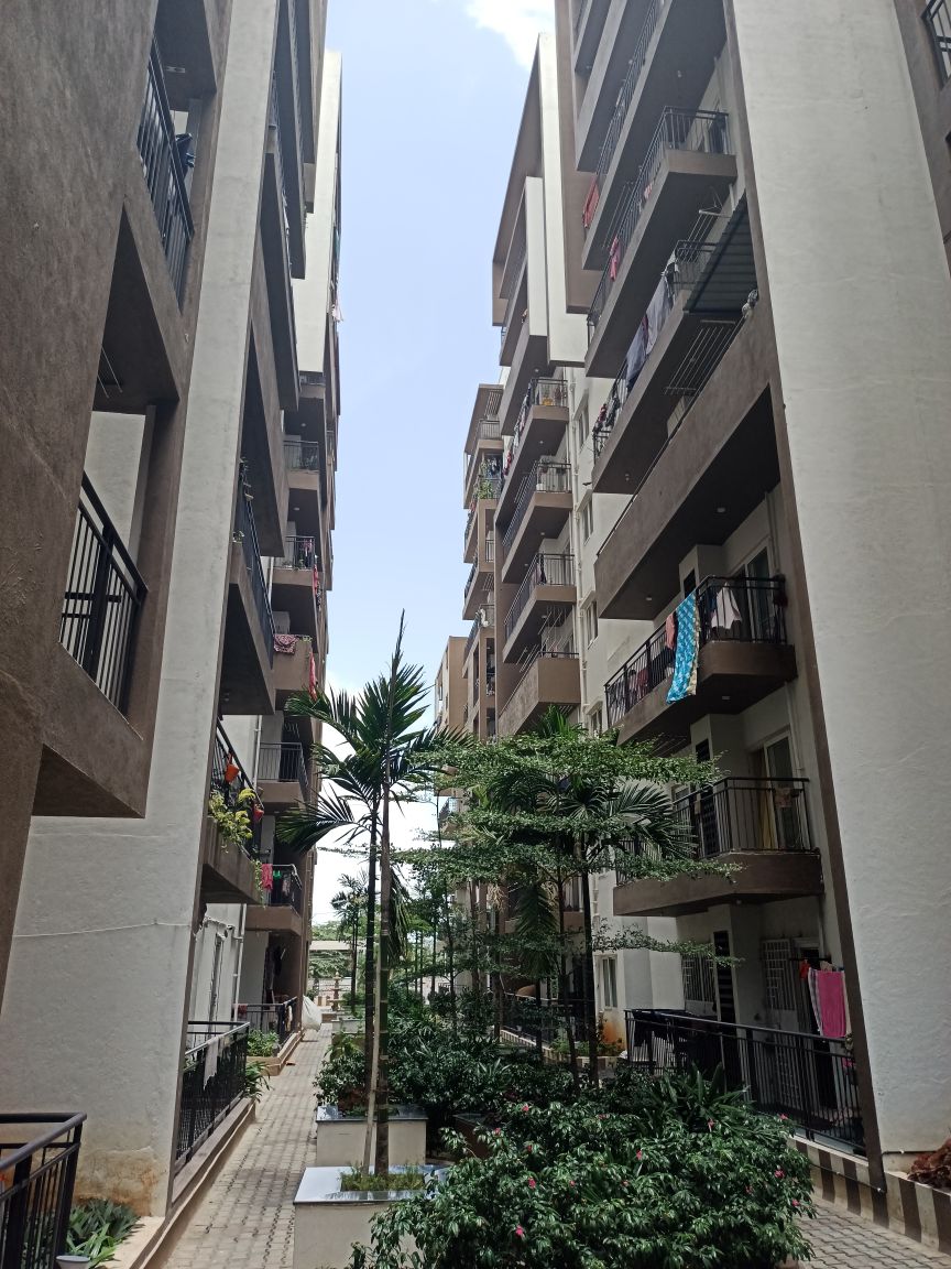 Estella Maple Square