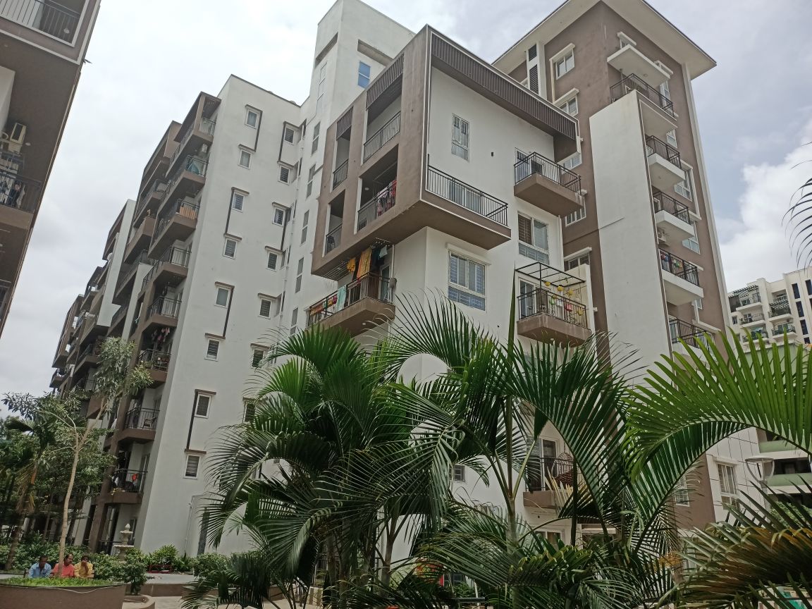 Estella Maple Square