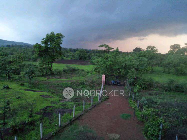 1 BHK House For Sale  In 7768+x8p, Navgaon, Maharashtra 421103, India