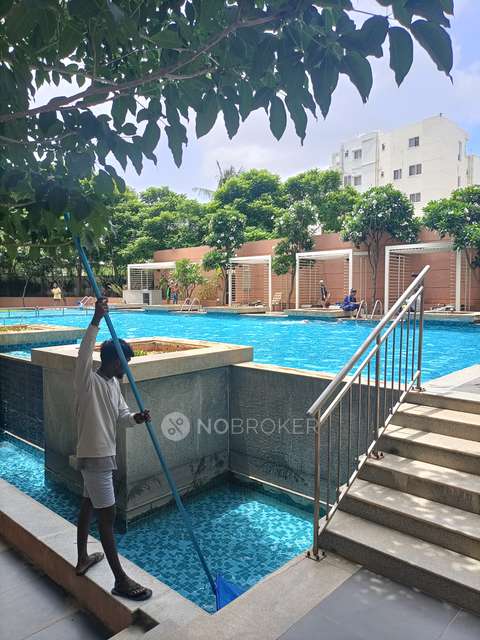 3 BHK Flat In Brigade Northridge  For Sale  In Yelahanka