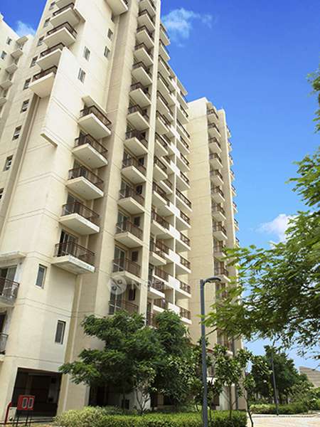 3 BHK Flat In Bptp Park Serene Gurgaon for Rent  In Sector 37d