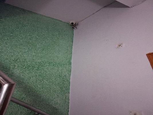 PG for Girls in Janakpuri