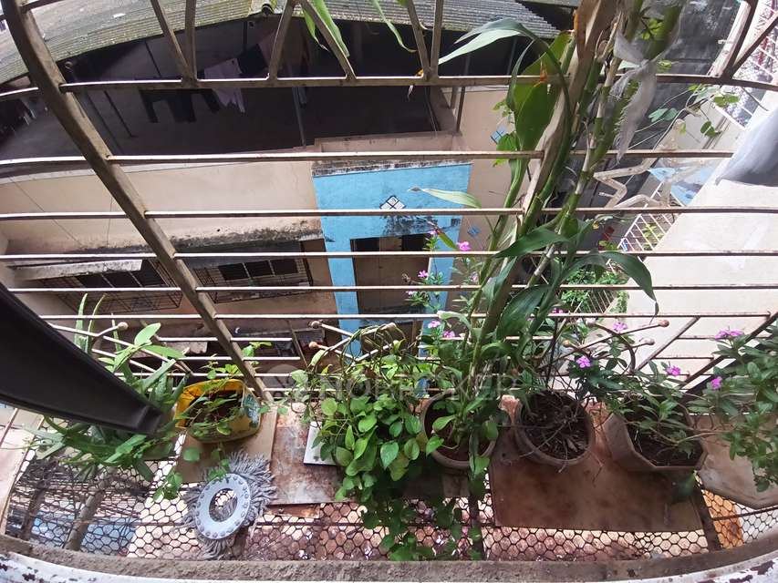 1 BHK Flat In Shree Sadguru Krupa Srushti For Sale  In Dombivli East