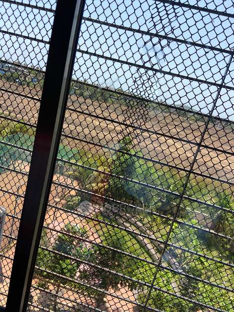 2 BHK Flat In Veena Velocity Phase 2, For Sale  In Vasai West