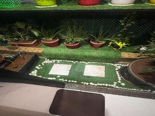 1 BHK Flat In Raj Tulsi Aarambh For Sale  In Badlapur