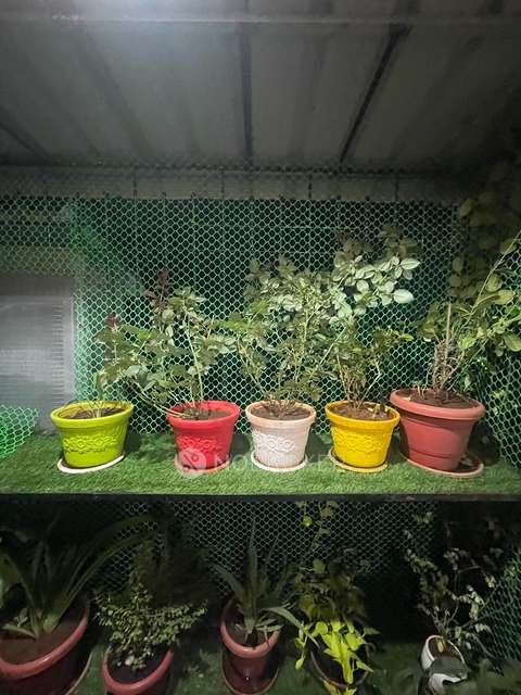 1 BHK Flat In Raj Tulsi Aarambh For Sale  In Badlapur