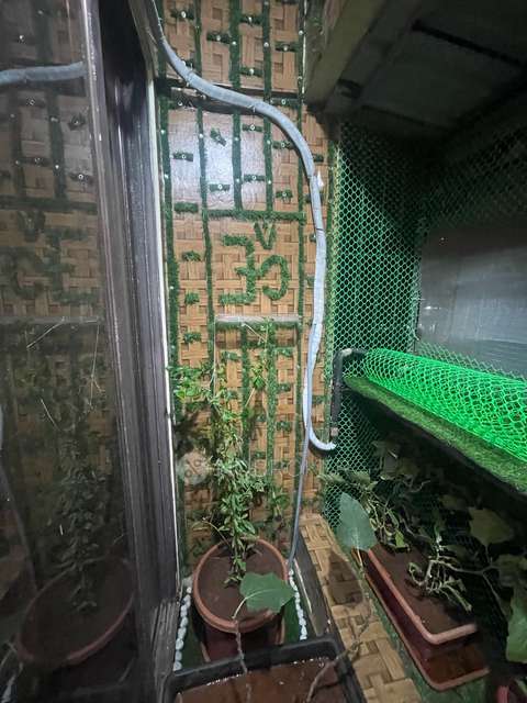 1 BHK Flat In Raj Tulsi Aarambh For Sale  In Badlapur