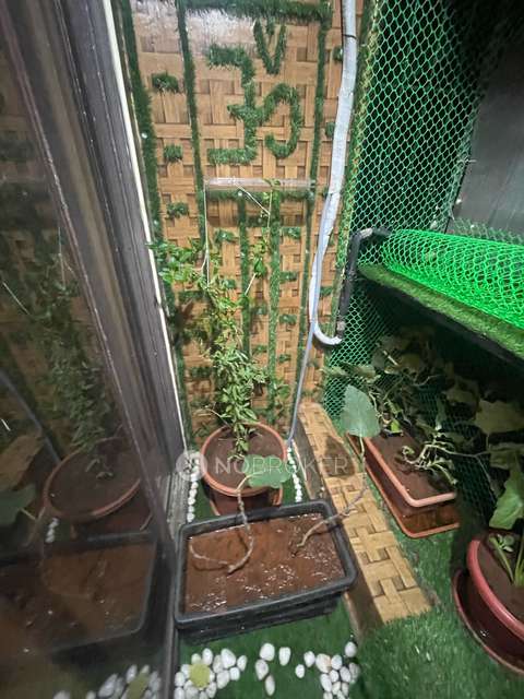 1 BHK Flat In Raj Tulsi Aarambh For Sale  In Badlapur