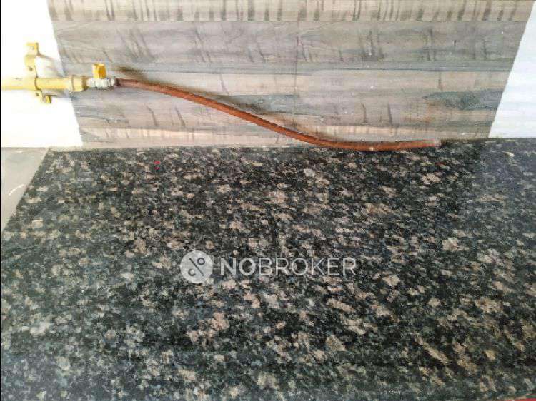 2 BHK Flat In Standalone Building  For Sale  In Rohini