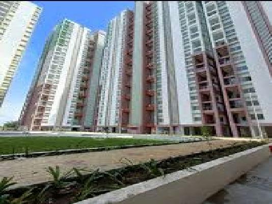 2 BHK Flat In Mhada Towers Pimpri Waghere for Rent  In Pimpri  Colony 
