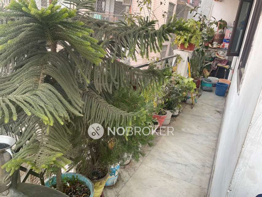 3 BHK Flat For Sale  In Chhatarpur