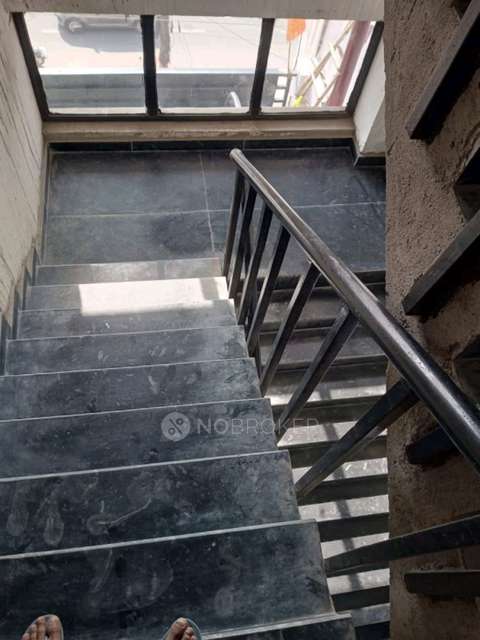 Office Space in Sector 20  , Noida for Rent 