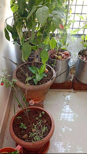 3 BHK Flat In Sri Laxmi Residency For Sale  In  Kushaiguda