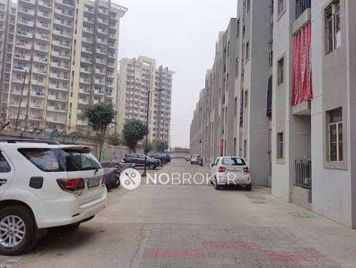 3 BHK Flat In Signature Global City 37d For Sale  In Sector 37d